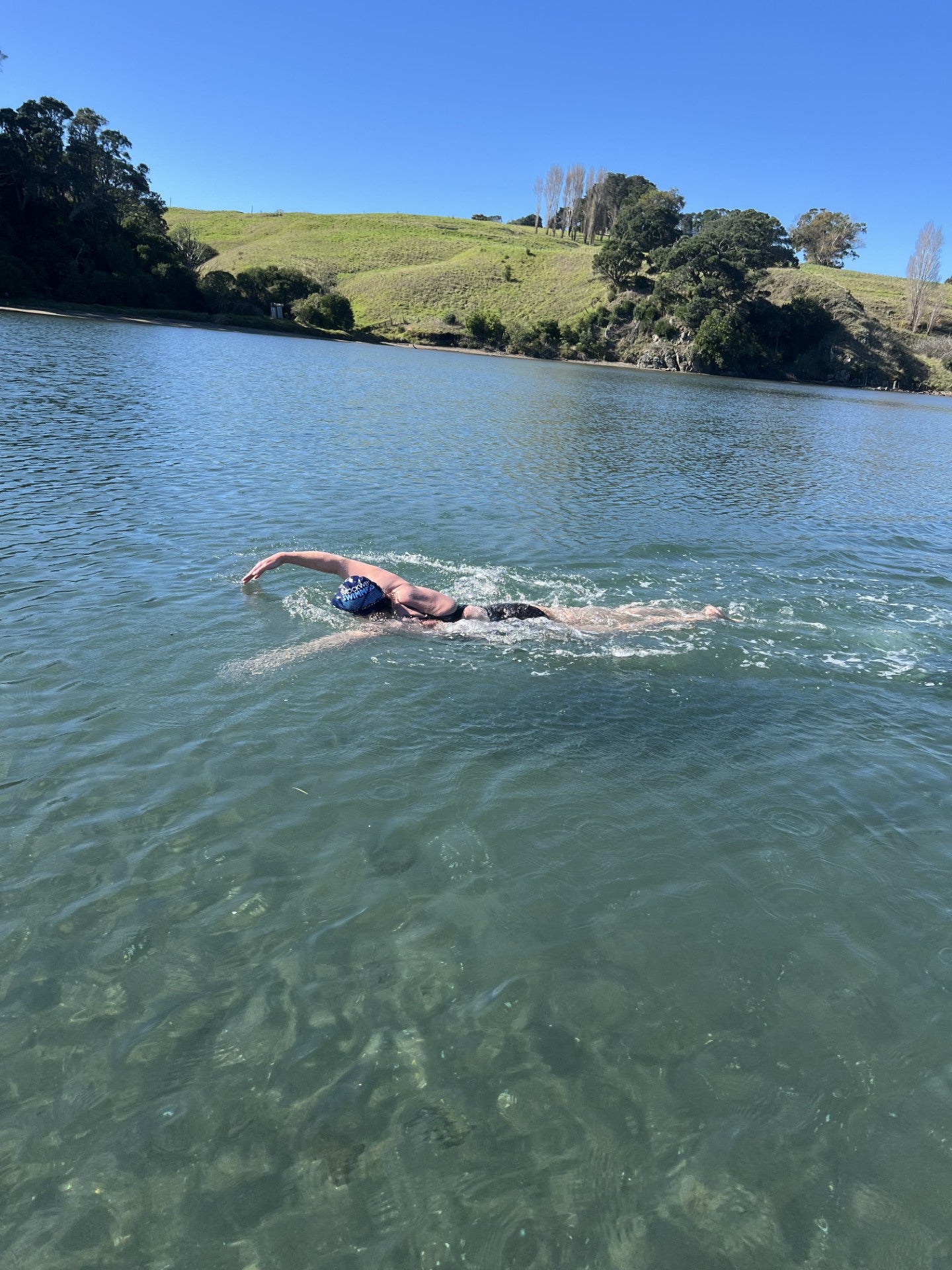 SOLO SWIM RANGITOTO ISLAND 20km