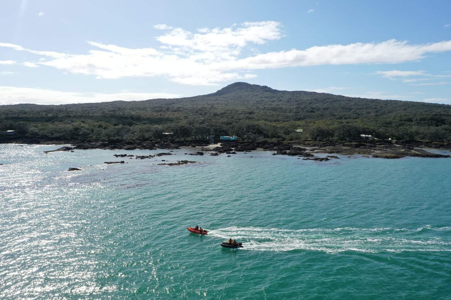 SOLO SWIM RANGITOTO ISLAND 20km