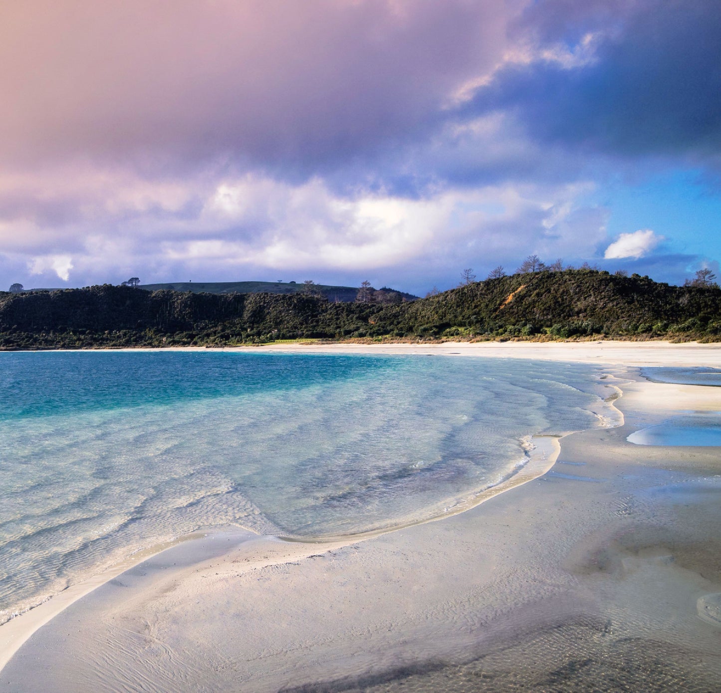 THE SWIM BUS – CIRCUMFERENCE OF LAKE KAI IWI - 18 NOV 2023